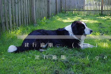 建行逾期一個(gè)月上征信了影響大嗎-建行逾期一個(gè)月上征信了影響大嗎知乎