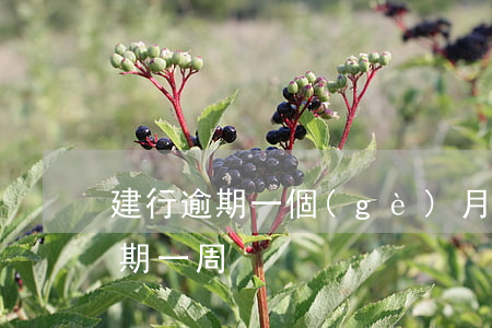 建行逾期一個(gè)月說提交法院(建行逾期一周)