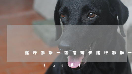 建行逾期一周信用卡(建行逾期一周信用卡被凍結(jié))