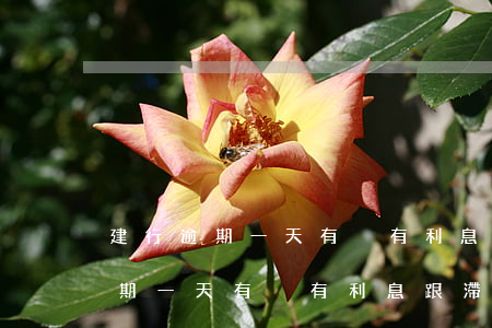 建行逾期一天有沒有利息跟滯納金-建行逾期一天有沒有利息跟滯納金啊