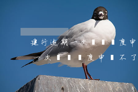 建行逾期一次臨時額度申請不了-建行逾期一次臨時額度申請不了怎么辦