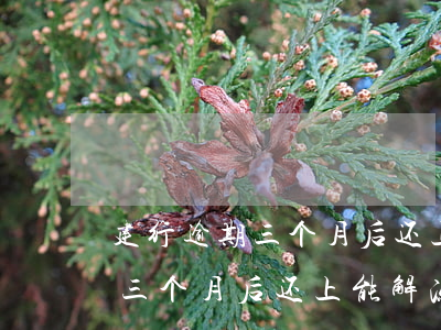 建行逾期三个月后还上能解冻吗-建行逾期三个月后还上能解冻吗安全吗