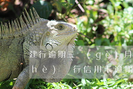 建行逾期三個(gè)月停息掛賬(建設(shè)銀行信用卡逾期可以申請停息掛賬嗎)