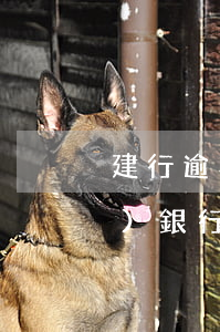 建行逾期三個月說要起訴我-建設(shè)銀行卡逾期銀行說要起訴怎么辦