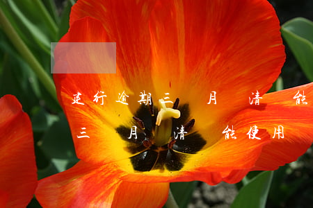 建行逾期三個月還清還能使用嗎-建行逾期三個月還清還能使用嗎現(xiàn)在