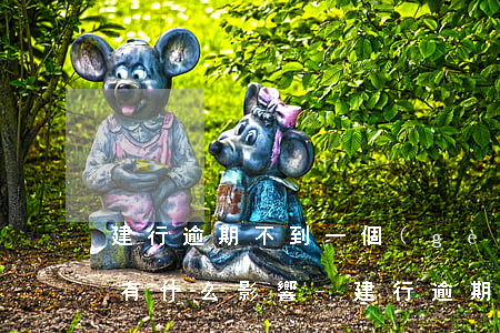 建行逾期不到一個(gè)月會(huì)有什么影響-建行逾期不到一個(gè)月會(huì)有什么影響嗎