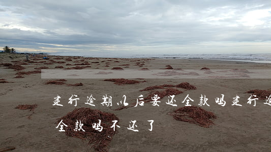 建行逾期以后要还全款吗(建行逾期以后要还全款吗不还了)