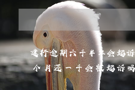 建行逾期六千半年会起诉吗-建行逾期了,每个月还一千会被起诉吗