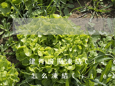 建行逾期凍結(jié)怎樣還款(建設銀行怎么凍結(jié)了)