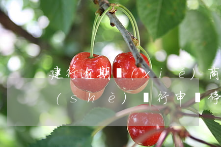 建行逾期協(xié)商停息掛賬政策 建設(shè)銀行申請停息掛賬