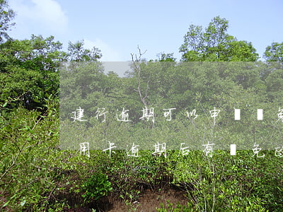 建行逾期可以申請減免利息滯納金嗎（建行信用卡逾期后有減免政策嗎）