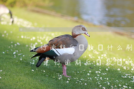 建行逾期后還款為什么刷不出來(lái)-建行逾期后還款為什么刷不出來(lái)了