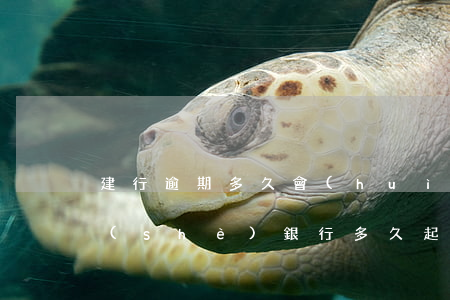 建行逾期多久會(huì)被銀行起訴 建設(shè)銀行多久起訴