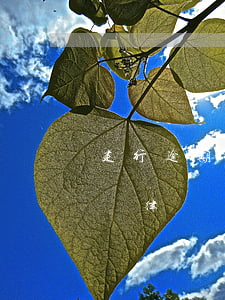 建行逾期多久會接律師信(建行信用卡逾期起訴律師會給你打電話嗎)