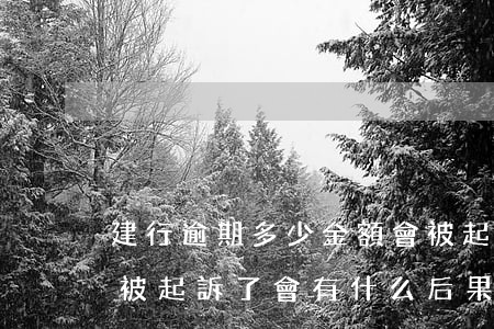 建行逾期多少金額會被起訴(建行逾期一萬多被起訴了,會有什么后果)