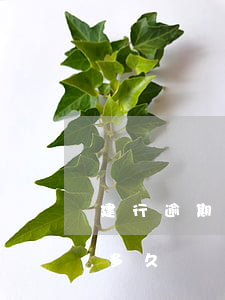 建行逾期會起訴(建設(shè)銀行能逾期多久)