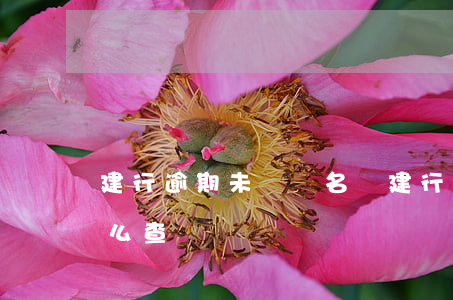 建行逾期未償還名單 建行逾期未償還名單怎么查