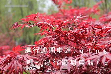 建行逾期申請(qǐng)分期還款能成功嗎-建行逾期申請(qǐng)分期還款能成功嗎安全嗎