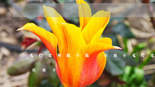 建行逾期能不能辦信用卡(建行逾期能不能辦信用卡)