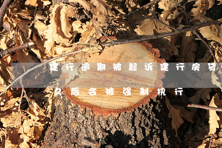 建行逾期被起诉(建行房贷逾期被起诉,判决多久后会被强制执行)