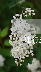 建行逾期起訴流程多久