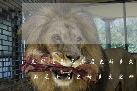 建行逾期还清后更新多久更新征信-建行逾期还清后更新多久更新征信啊