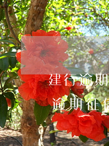 建行逾期還款怎么銷(xiāo)征信(銀行逾期征信如何消除)