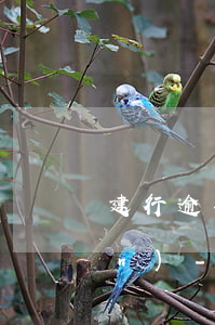 建行逾期還款超過第三天早上7點(diǎn)-建行逾期還款超過第三天早上7點(diǎn)算逾期嗎