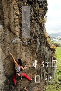 建行還不了他行信用卡了-建設(shè)銀行還不了信用卡