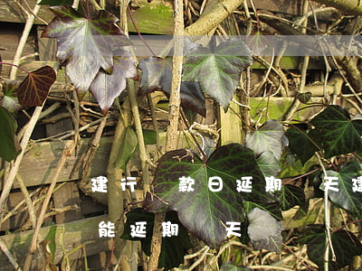 建行還款日延期幾天(建行信用卡到還款日還能延期幾天)