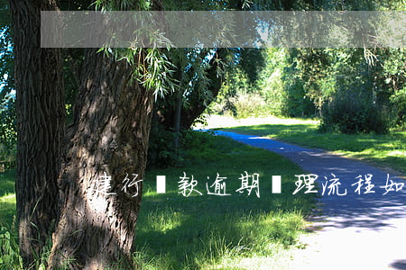 建行還款逾期處理流程(如何進行逾期還款)