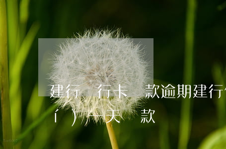 建行銀行卡還款逾期(建行信用卡超時(shí)一天還款)