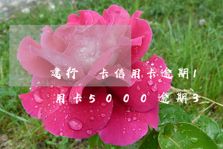 建行龍卡信用卡逾期1個(gè)月(建行信用卡5000逾期3個(gè)月有什么后果)