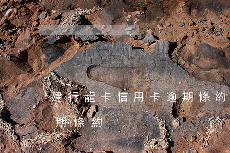 建行龍卡信用卡逾期條約(建行龍卡信用卡逾期條約)