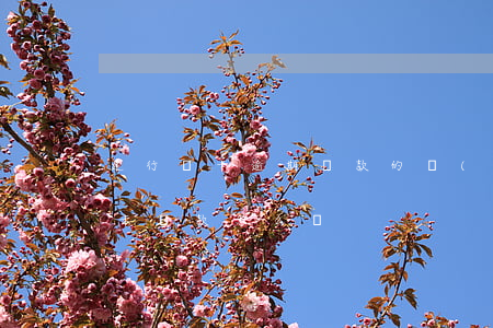 建行龍卡逾期還款的費(fèi)用(建行龍卡還款怎么還?)