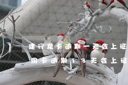 建行龙卡逾期一天会上征信吗(建设银行的信用卡逾期13天会上征信吗)