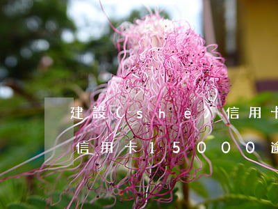 建設(shè)信用卡2500逾期七年 欠信用卡15000逾期6年