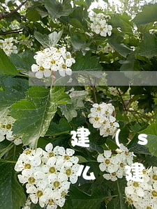 建設(shè)信用卡3萬本金逾期兩年怎么辦（建設(shè)信用卡3萬本金逾期兩年）