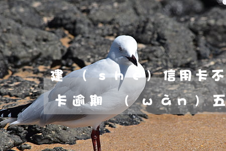 建設(shè)信用卡不小心逾期5天(信用卡 逾期 萬(wàn)五 每日)