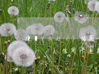 建設(shè)信用卡兩萬逾期半年(建設(shè)信用卡逾期一兩天)