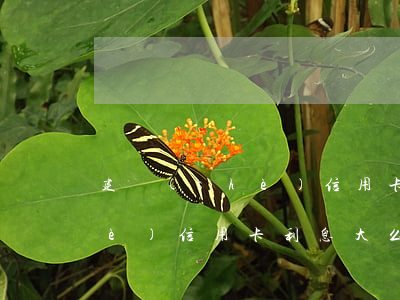 建設(shè)信用卡利息大么（建設(shè)信用卡利息大么）