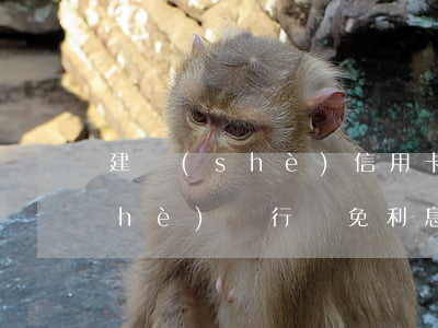 建設(shè)信用卡利息減免-建設(shè)銀行減免利息成功賬單會(huì)變化嗎