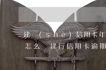 建設(shè)信用卡年費(fèi)逾期怎么辦(建行 信用卡 逾期寬限期)
