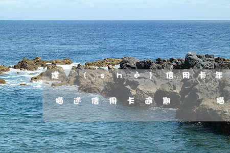 建設(shè)信用卡年費(fèi)逾期描述(信用卡逾期異議描述怎么寫)