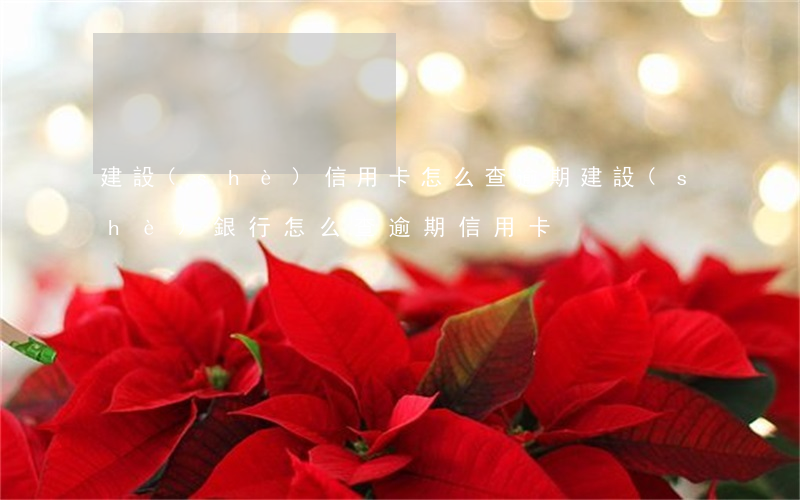 建設(shè)信用卡怎么查逾期(建設(shè)銀行怎么查逾期信用卡)