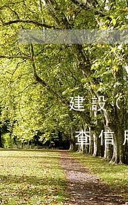 建設(shè)信用卡怎么查逾期記錄(怎么查信用卡的逾期記錄)