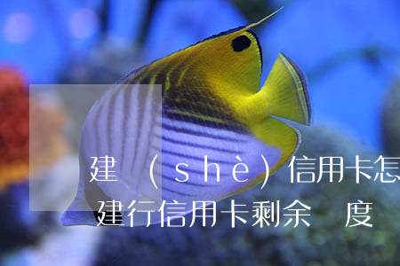 建設(shè)信用卡怎么看欠多少(怎么查建行信用卡剩余額度)