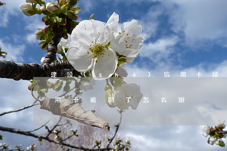 建設(shè)信用卡掉了還逾期(有貸款信用卡逾期了怎么辦)