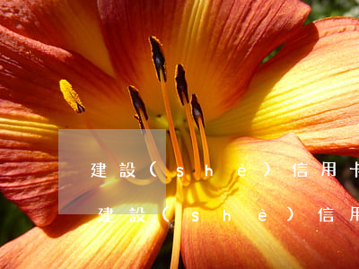 建設(shè)信用卡最遲可以遲還幾天-建設(shè)信用卡最遲可以遲還幾天的