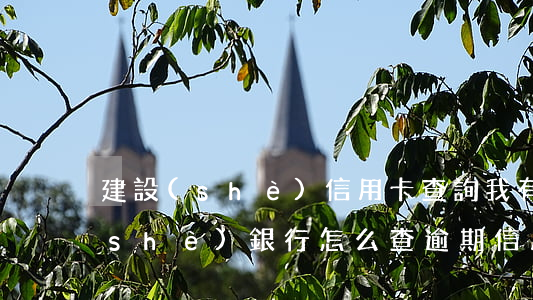 建設(shè)信用卡查詢我有逾期(建設(shè)銀行怎么查逾期信用卡)